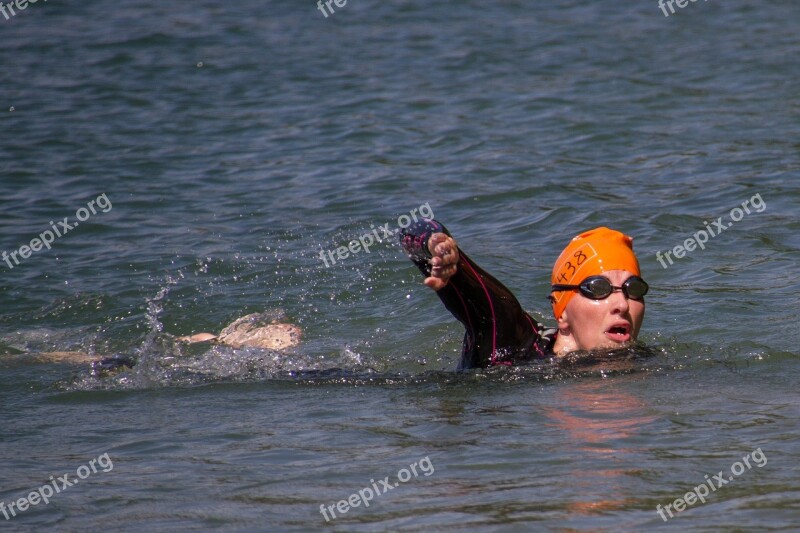 Swim Swimmer Gigathlon Competition Free Photos