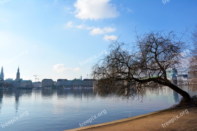 Hamburg Lake City Park Hanseatic City Landscape