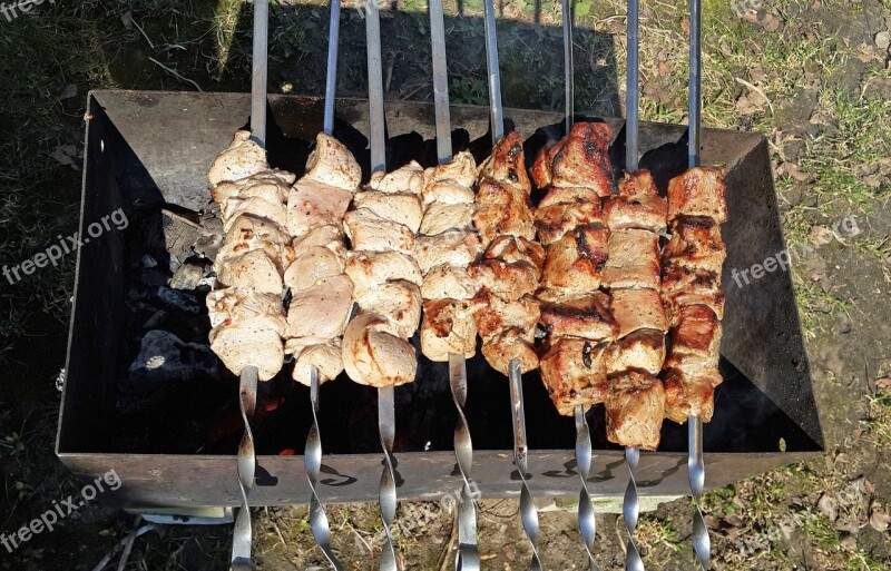 Shish Kebab Mangal Fried Meat Food Free Photos