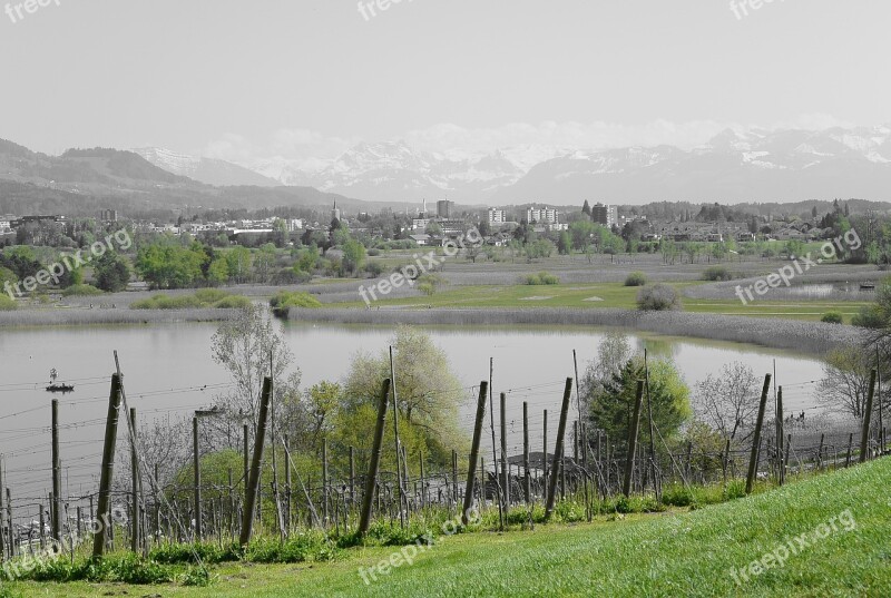 Landscape Lake Pfäffikersee Switzerland Water