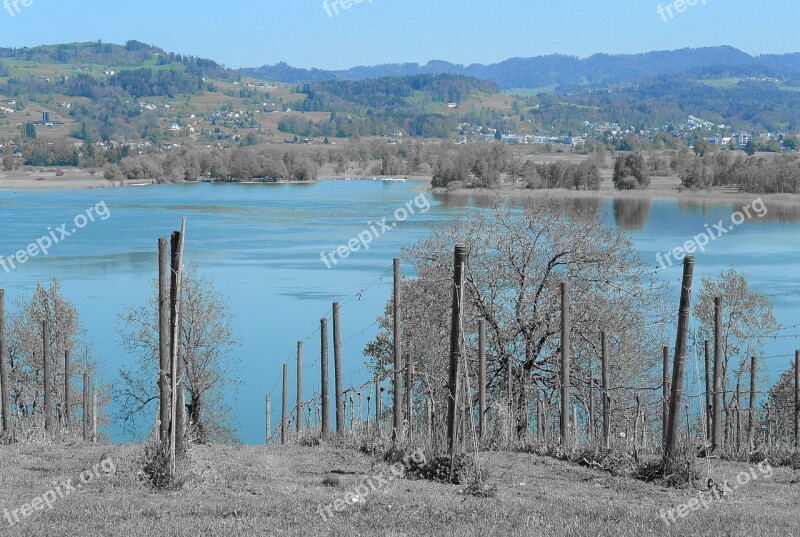 Landscape Lake Pfäffikersee Switzerland Water