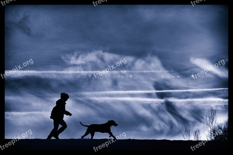 Man And Dog Silhouette Weimar Run Free Photos