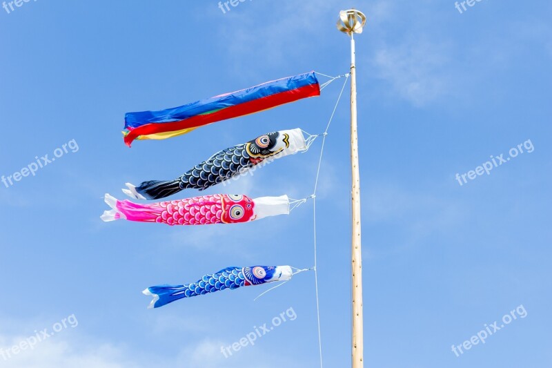 Carp Streamer May Festival Children's Day Japan