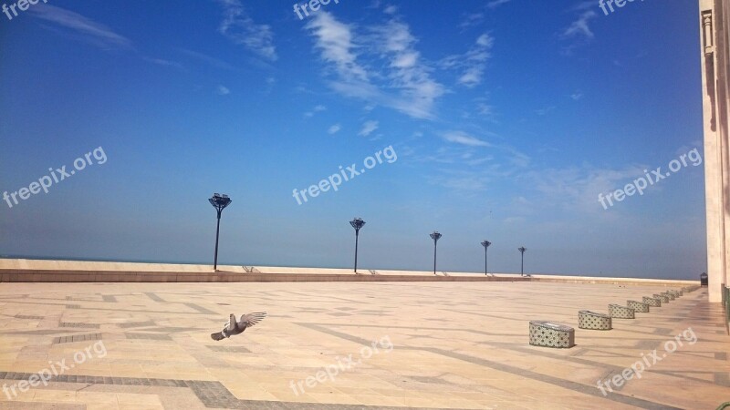 Morocco Casablanca Mosque Mohamed V Monument