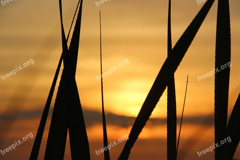 Sunset Sundown Grass Colorful Indonesia