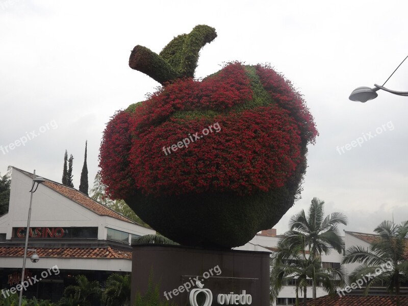 Apple Medellin Colombia Free Photos