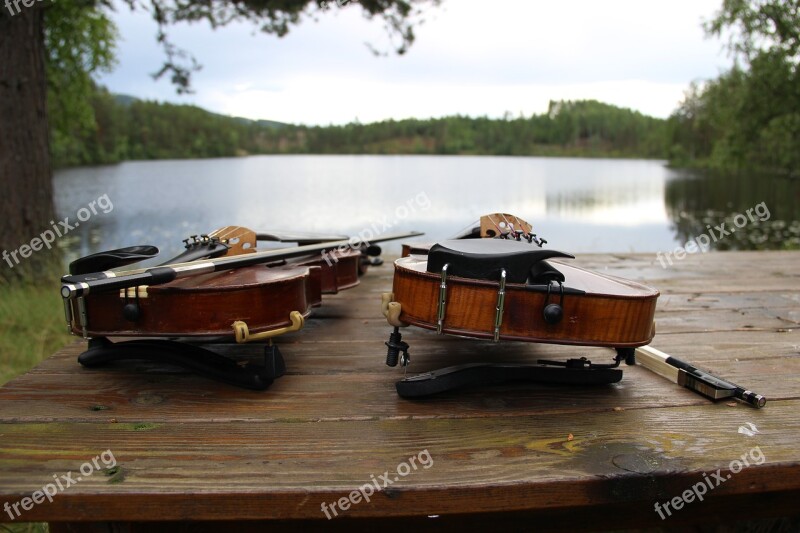 Violins Nature Water Free Photos