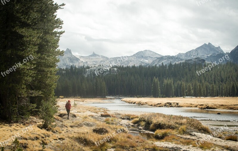 Yosemite Wilderness River Travel Free Photos