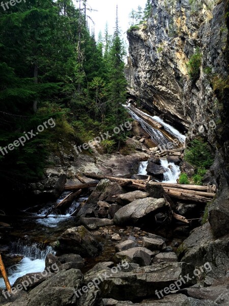 Granite Falls Washington Cedars Forest Scenery