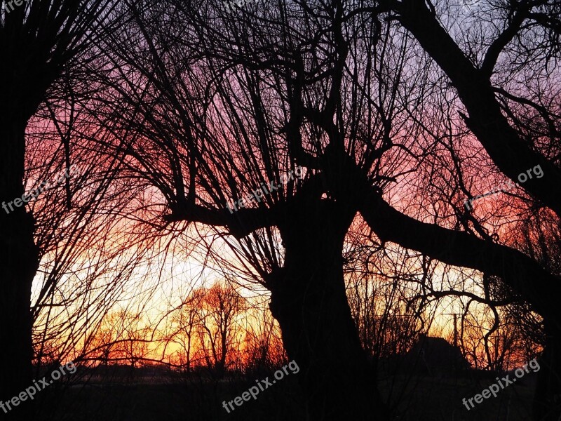 Sunset Backlighting Silhouette Mood Lighting