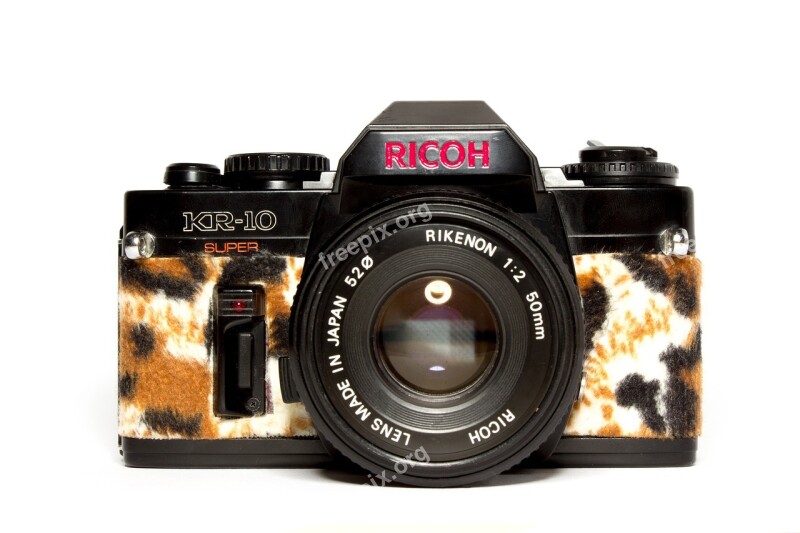 Camera Fashion Hipster Leopard Lens