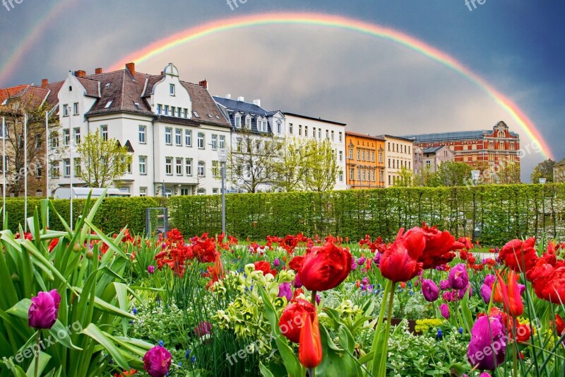 Zeitz Saxony-anhalt Germany Historic Center Old Building