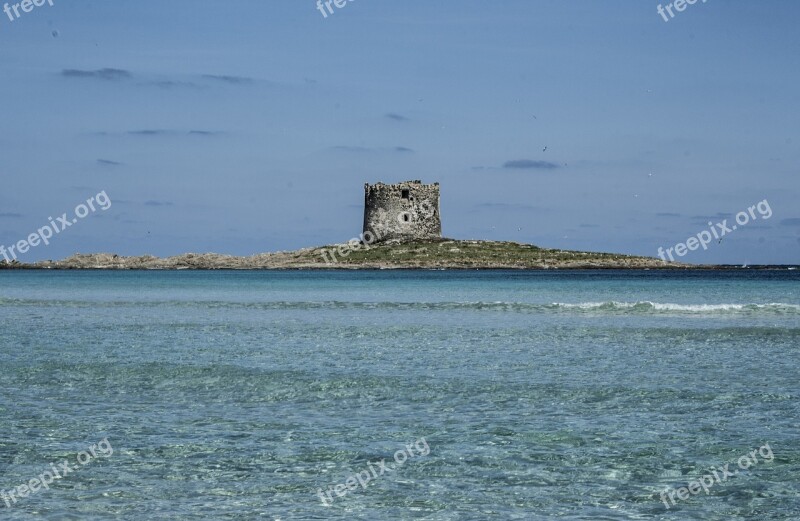 Hairy Stintino Sea Torre Sardinia