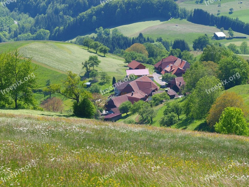 Landscapes Nature Mountain Field Black Forest