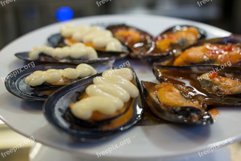 Mussels Seafood Mediterranean Cuisine Free Photos