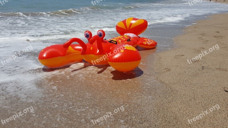 Puerta Vallarta Mexico Beach Fun Lobster Beach Toy Sandy Beach Surf