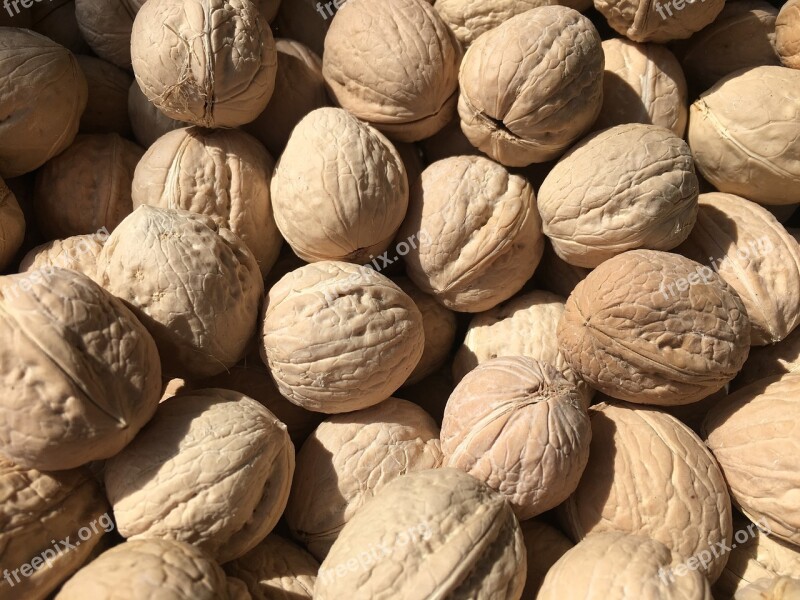 Nuts Walnuts Nutshell Natural Diet