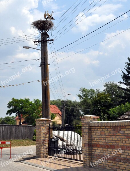 Martos Highlands Stork Free Photos