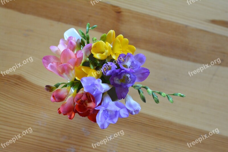 Freesia Flowers Posy Decoration Fragrant