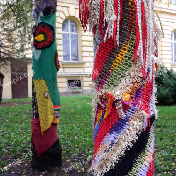 Yarn Bombing Guerilla Knit Knitting Braided Trees Free Photos