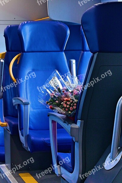 Train Elektrichka Naples Roses Blue