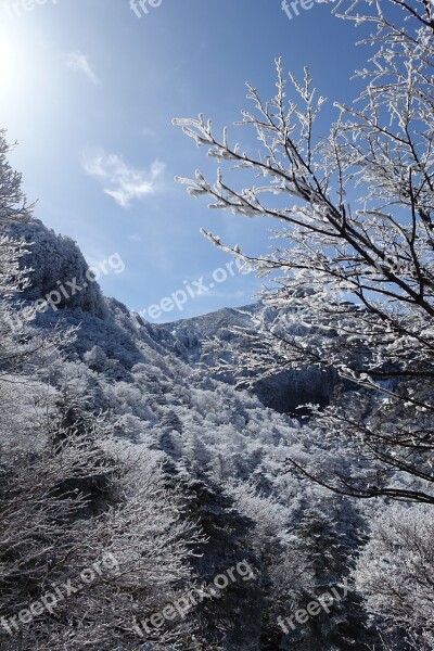 Winter Snow Mountain Jeju Island Republic Of Korea Snow