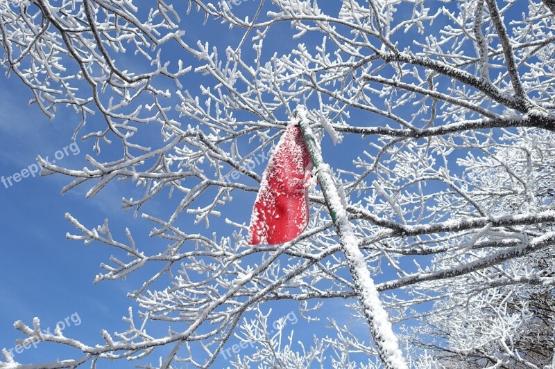 Winter Snow Mountain Jeju Island Republic Of Korea Snow