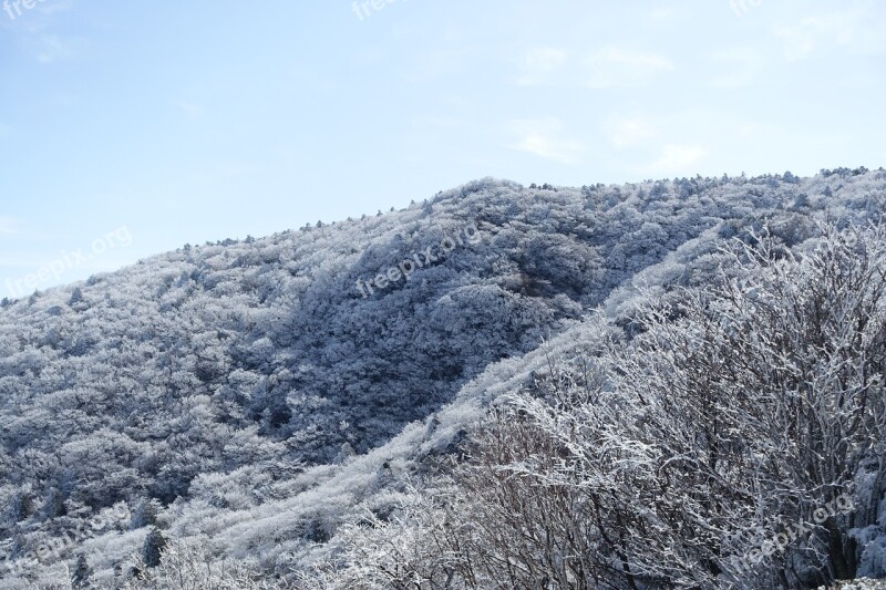 Winter Mountain Line Production Halla Jeju Island Landscape