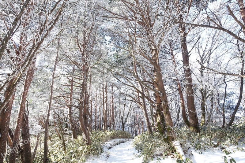 Snow Mountain Winter Landscape Winter Mountain Sunshine