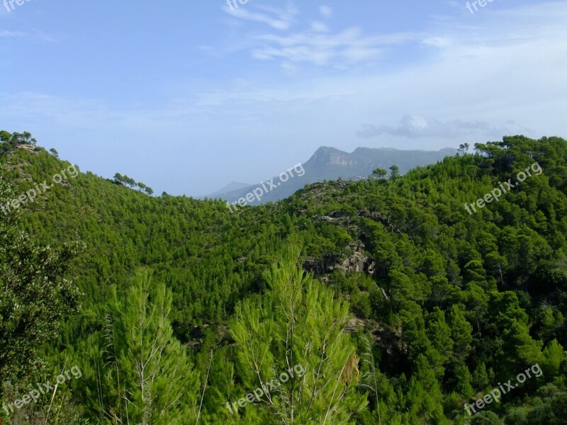 Banyalbufar Mallorca Tramuntana Free Photos