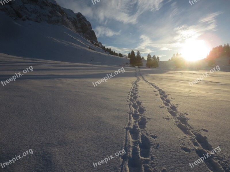 Snow Tracks Wintry Trace Free Photos