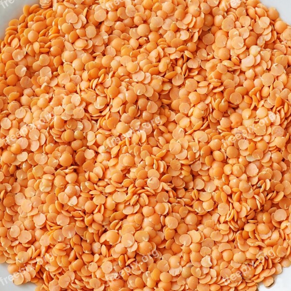 Lentil Grains Food Diet Vegetarianism