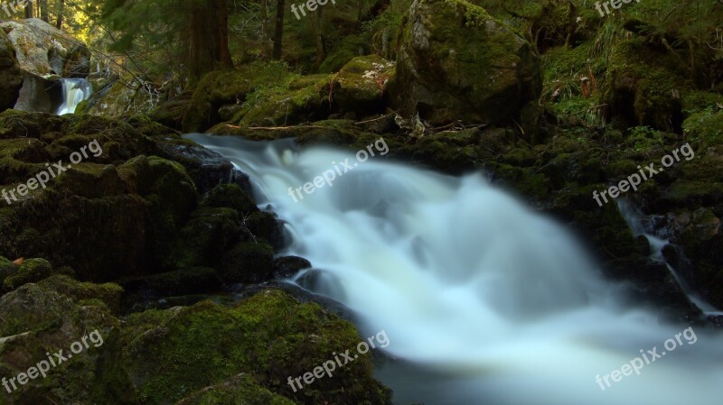 River Forest Spring Nature Summer