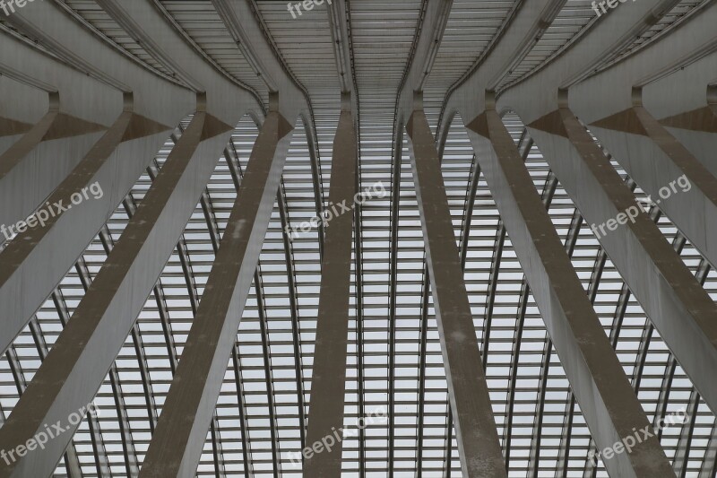 Railway Station Liège Liège Architecture Construction