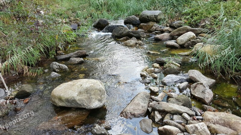 The Rural Brook The Creek Streams Free Photos