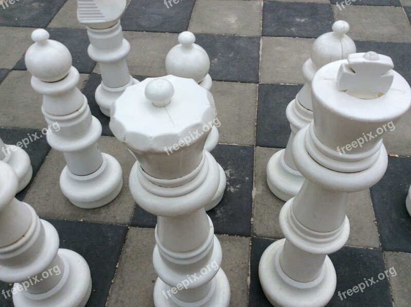 Chess Project Management Recruitment Development Protection