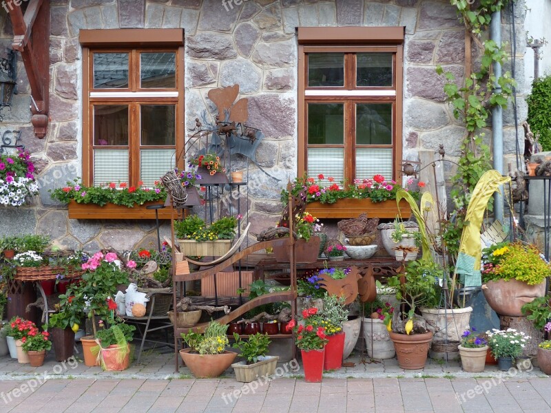 Window Flowers Shutter House Facade