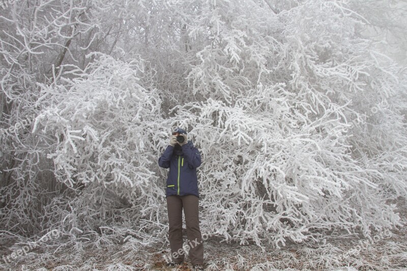 Hoarfrost Winter Photographer Free Photos