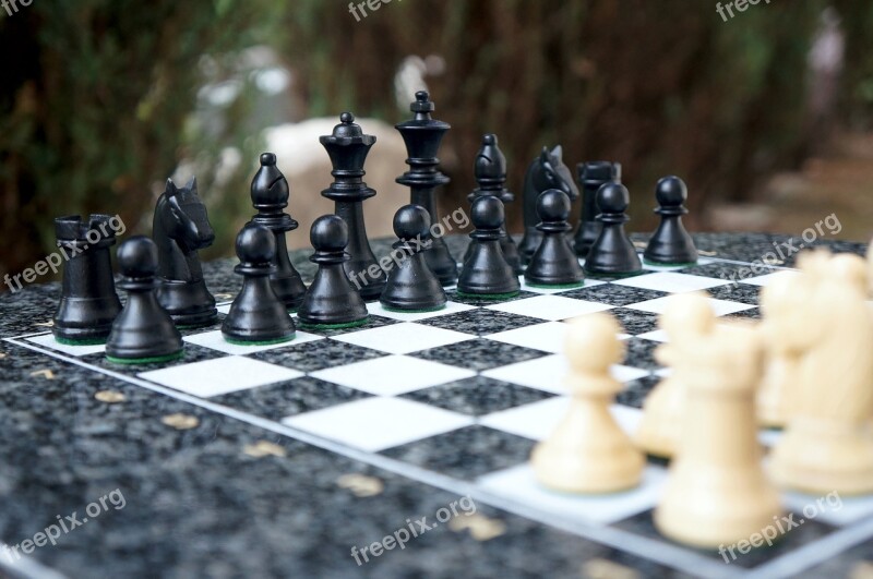 Chess Play Chess Board Chess Game Figures