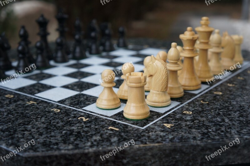 Chess Play Chess Board Chess Game Figures