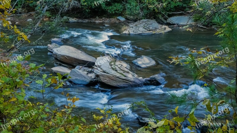 Stream Trout Stream Nature Water Landscape