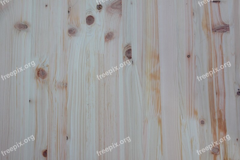 Wood Pattern Wood Pattern Texture Wild