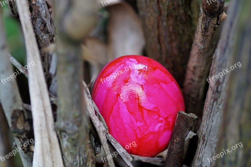 Egg Easter Eggs Easter Hidden The Tradition Of