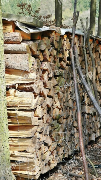 Wood Holzstapel Tree Trunks Forestry Log