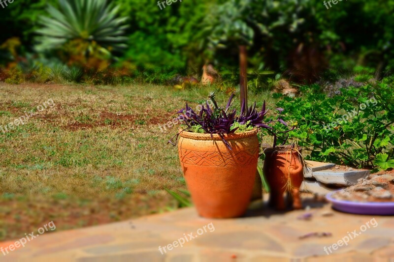 Garden Flower Pot Gardener Outdoor Free Photos