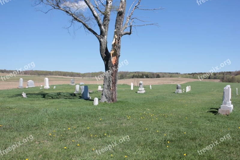 Cemetery Tree Peaceful Graveyard Fall