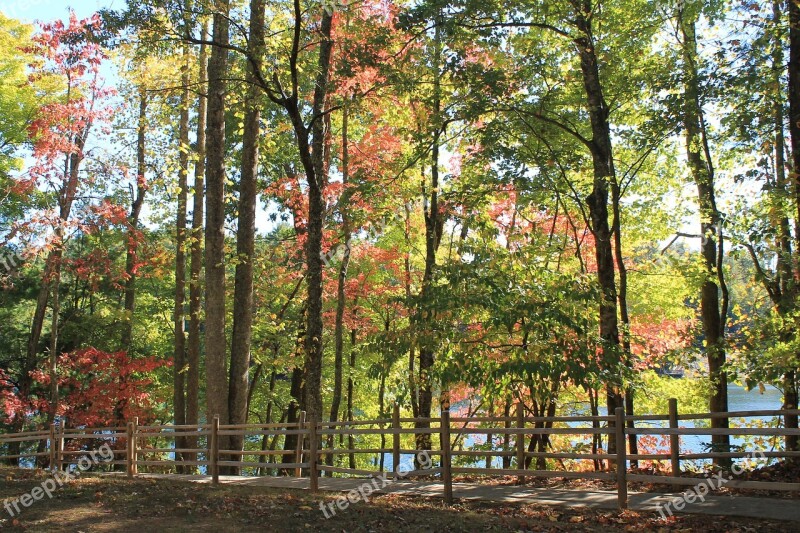 Fall Fall Trees Fall Color Foliage September