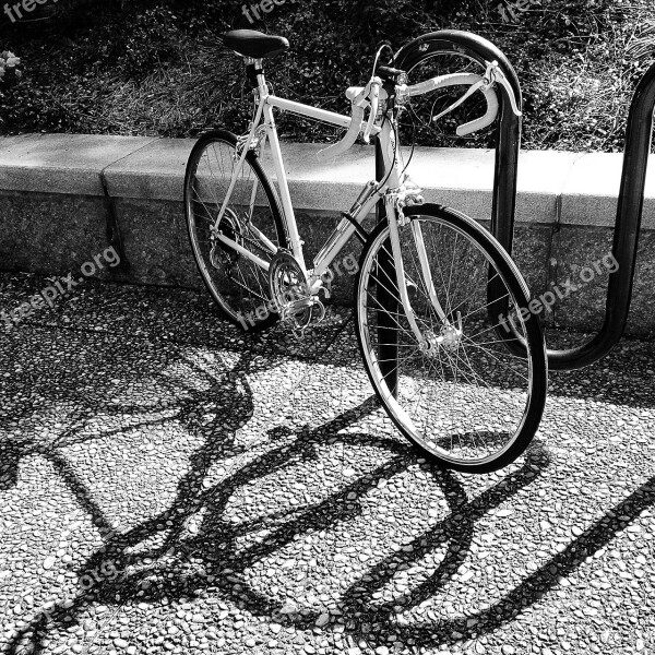 Bicycle Cycle Retro Black And White Bike