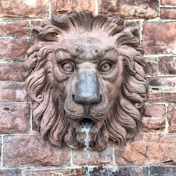 Lion Fountain Water S Statue