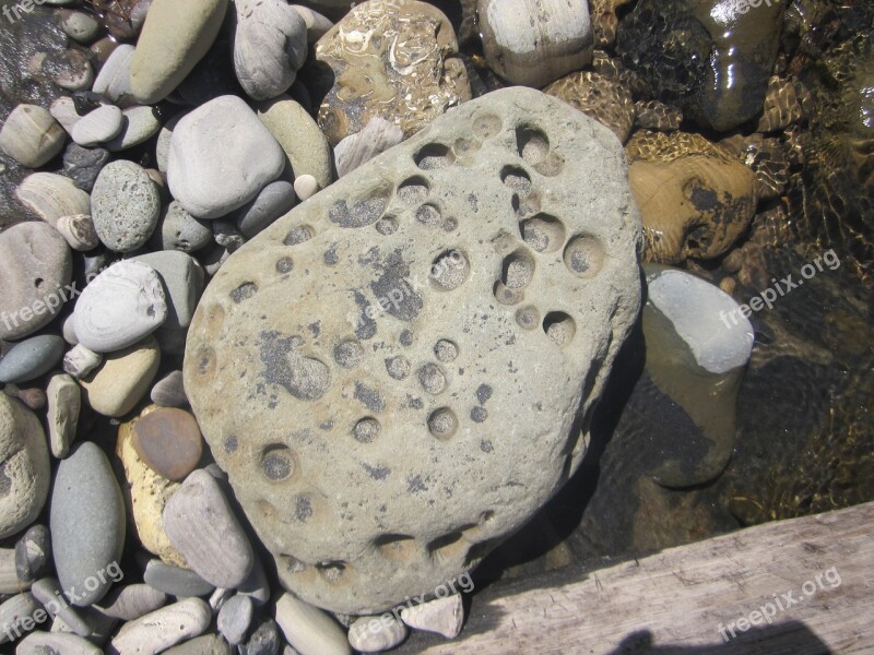 Rock Beach Weathered Coast Northern California